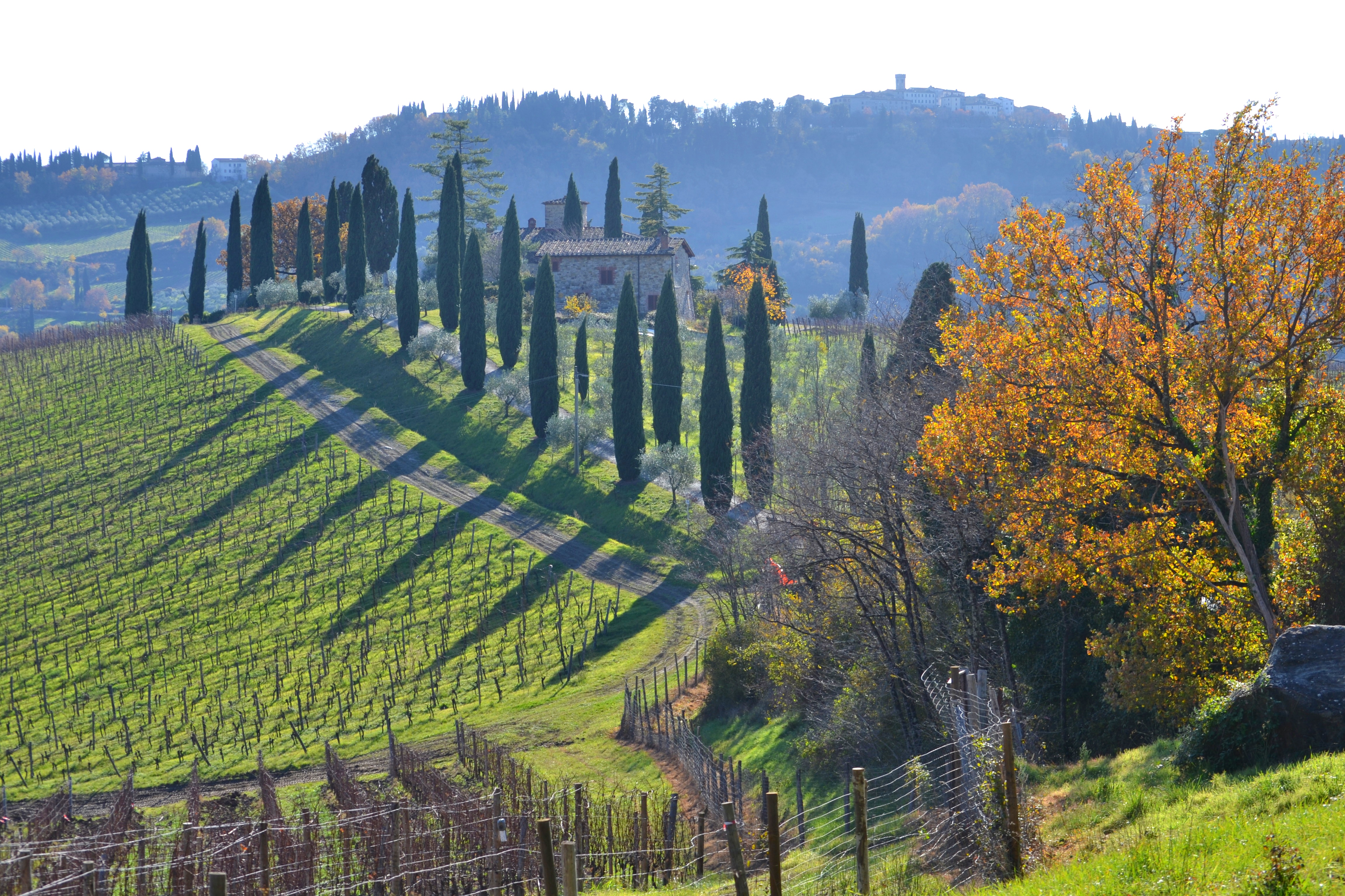 Fuga in Chianti